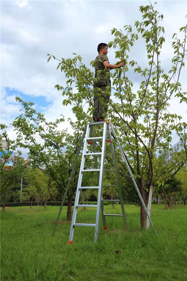 家用芭乐视频网页版厂家.jpg
